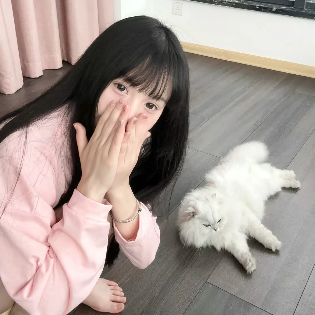 御猫三戏锦毛鼠